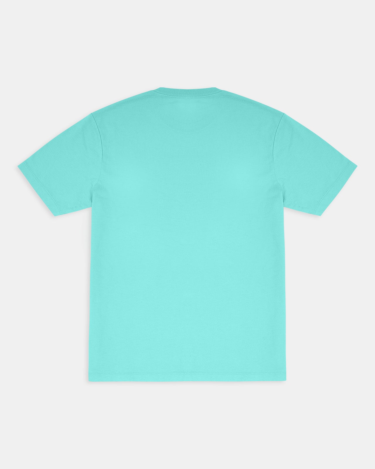 Everyday Short Sleeve Basic Tee in Sea Spray 3